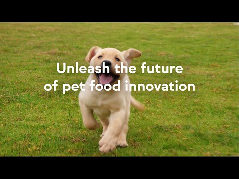 Unleash the future of pet food innovation