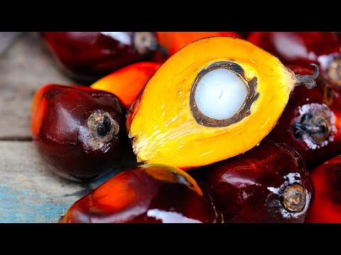 Palm Oil-based Emulsifiers