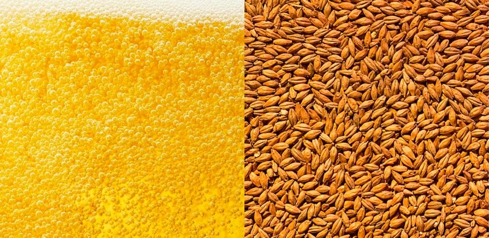IFF Brewing enzymes