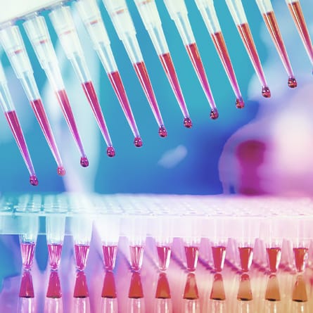3_column_Services_Phytate_1