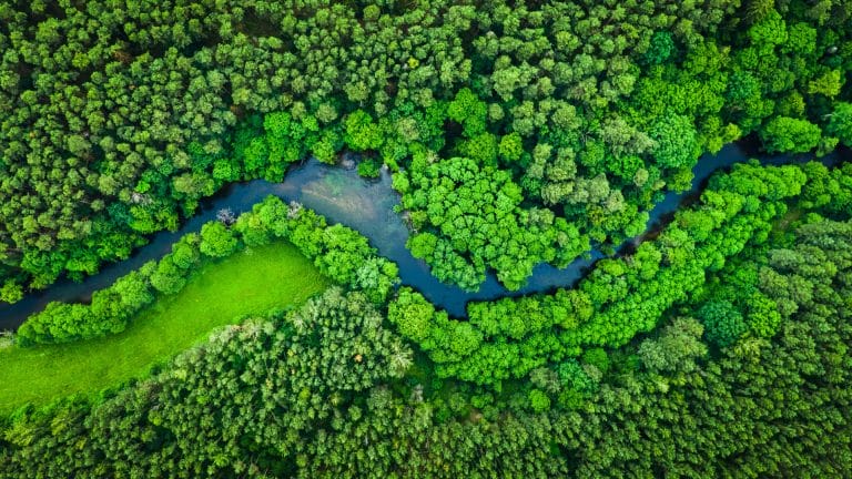 Community & biodiversity
