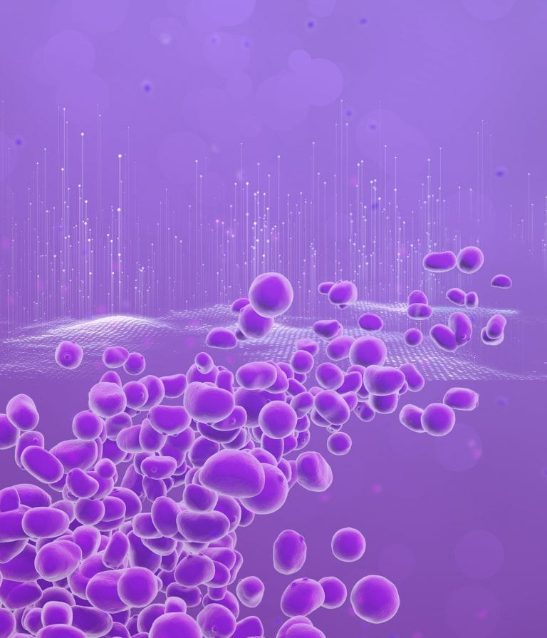 Xcelis-Yeasts-Key-Visual-Platform_v2-clipped