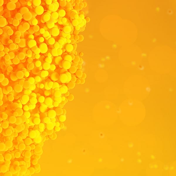csm_Banner_Saccharification_Fermentation