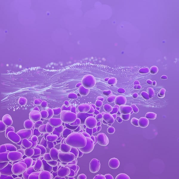 csm_Xcelis-Yeasts-Key-Visual-Jade-Speed_v2-clipped_e