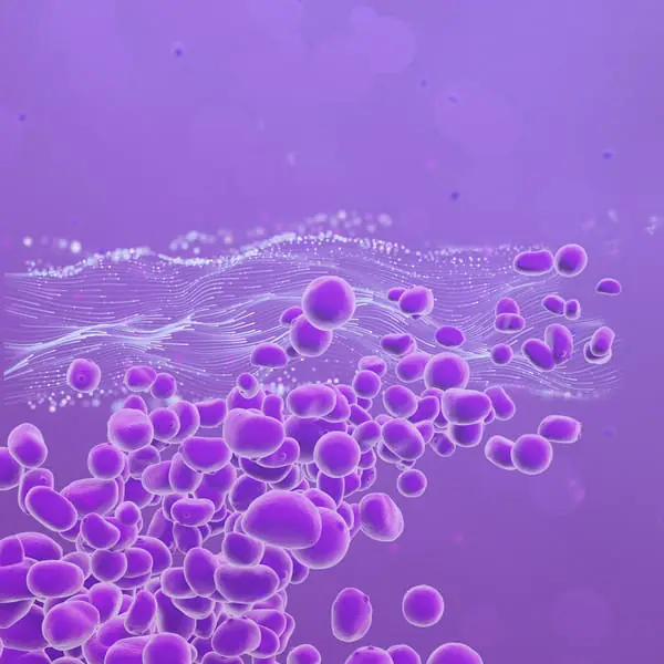 【希少本】Dots, Fungus, Crystals & Moonlight ch22-18b-wm-large.jpg