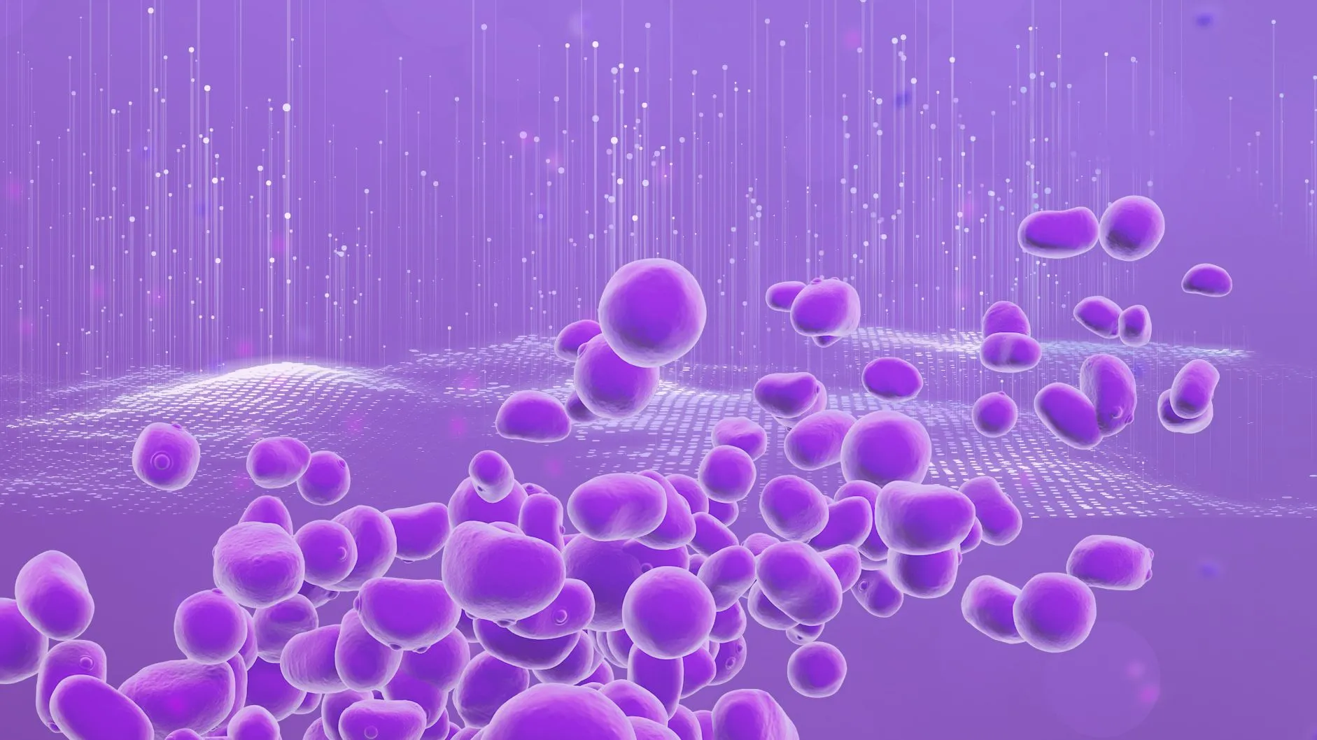 Yeasts