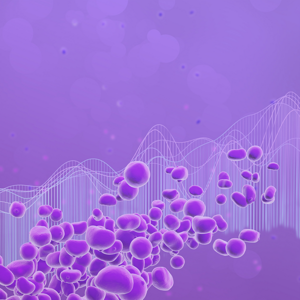 csm_Xcelis-Yeasts-Key-Visual-Ruby-Yield_v2-clipped_8