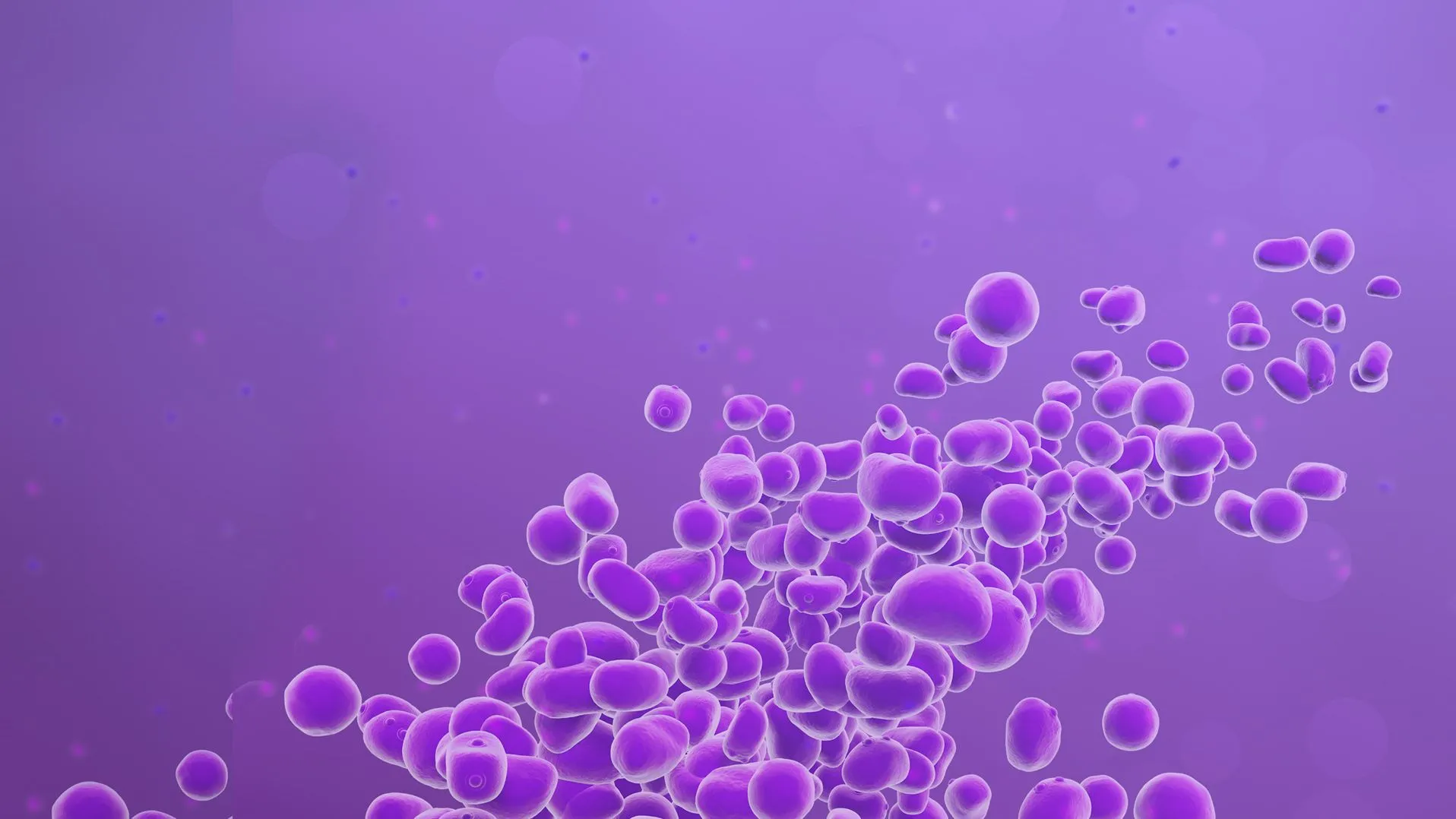 Yeasts
