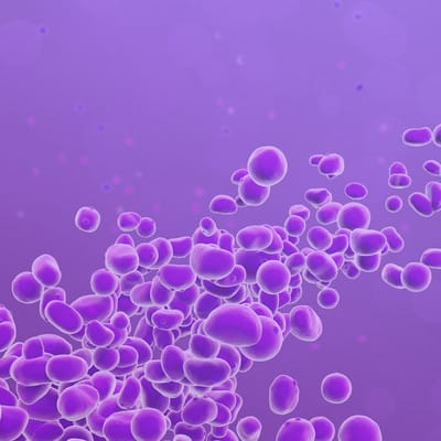 csm_banner_Yeasts_eefbb0bcf5_fd8858596ae77847c00ff879d2c1139f