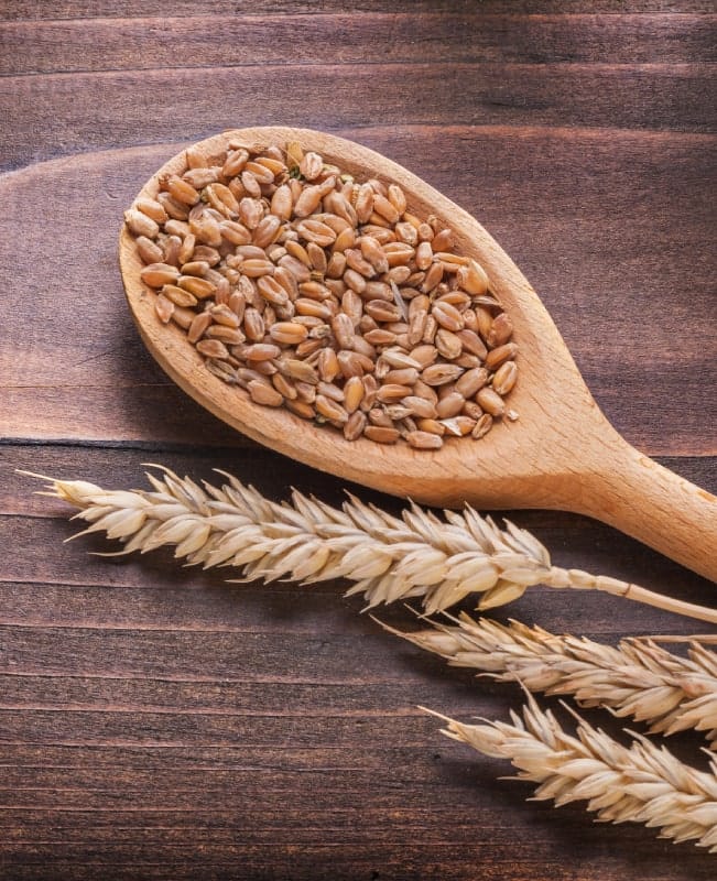 dietary fiber