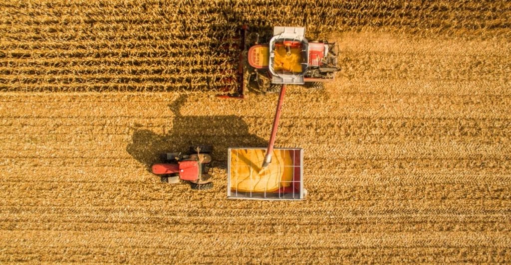 grain-processing-banner-new