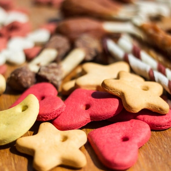 11- section4 – Pet Nutrition-min