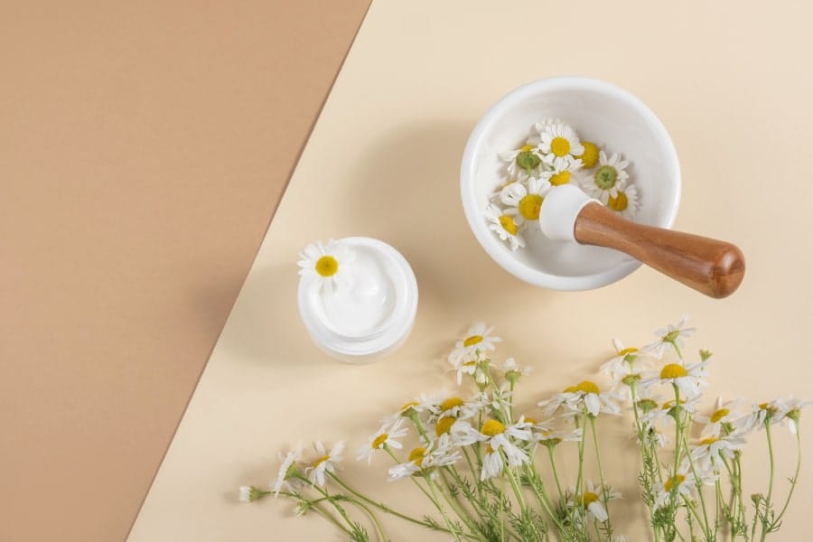Pharmaceutical chamomile