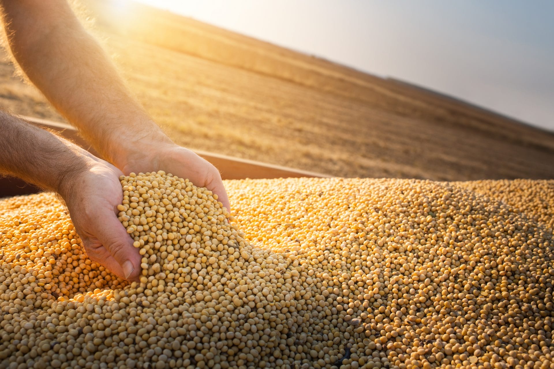 IFF.com_Protein_Sustainability_ResponsibleSourcing