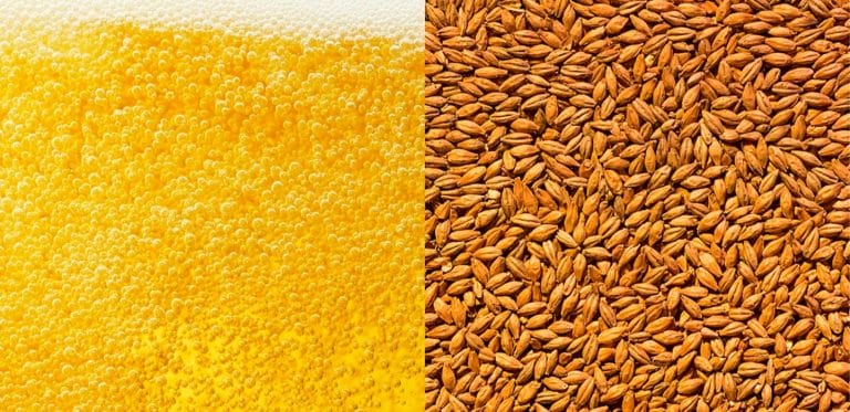 Optimal Brewing with IFF Enzymes: Whatever the Weather