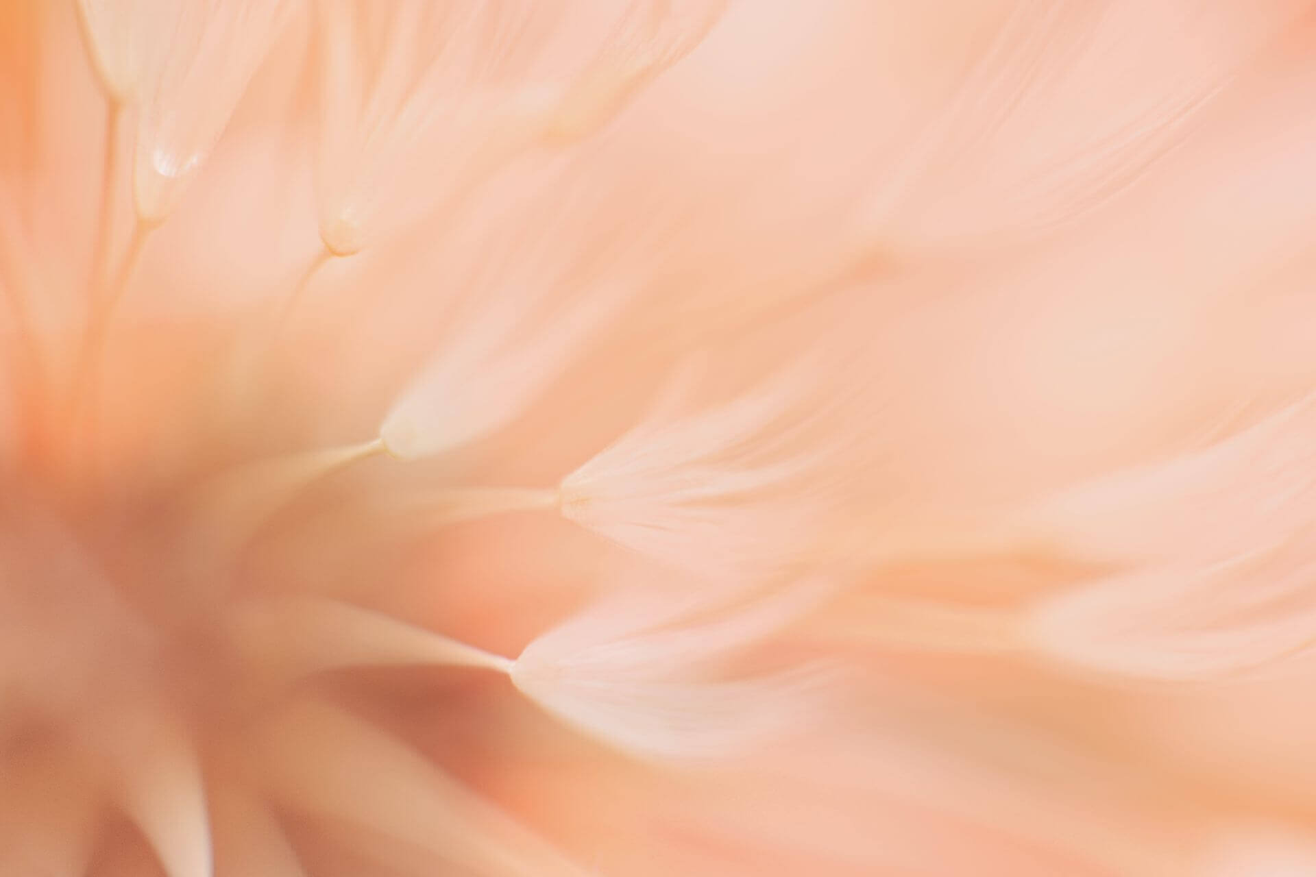 panoptic-visual