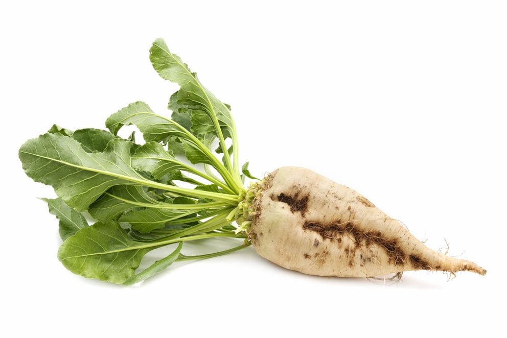 Daikon