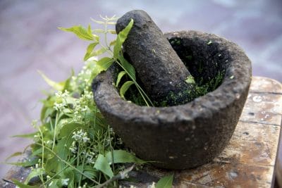 section4-herbs-min