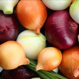 section4-onion-min