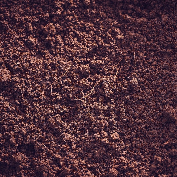 shutterstock_earthy-min
