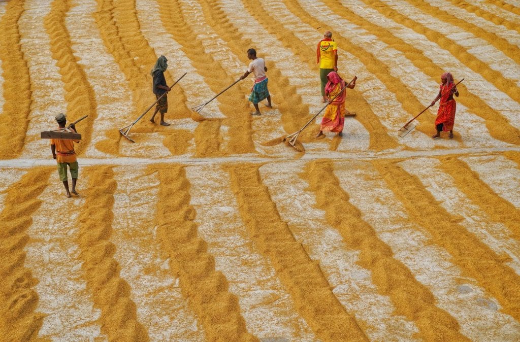 Advancing Human Rights Due Diligence photo