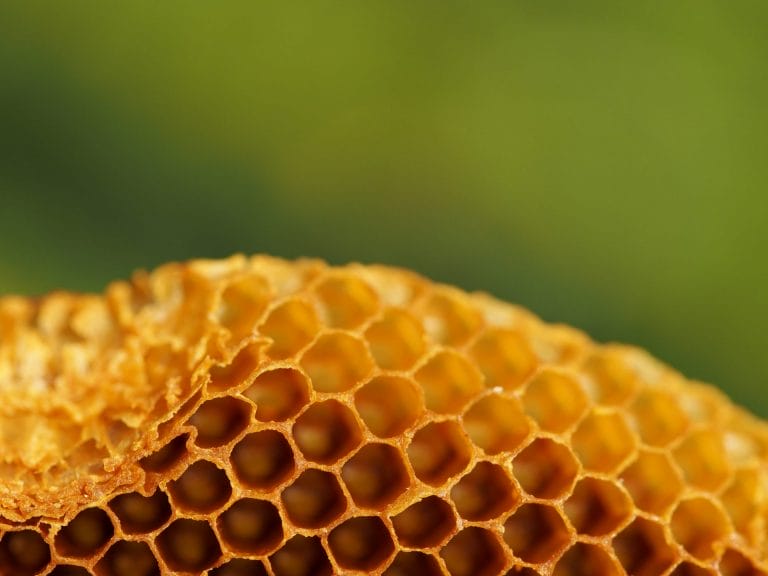 BEESWAX