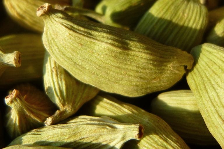 CARDAMOM