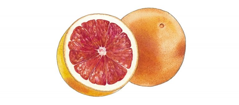 GRAPEFRUIT PINK