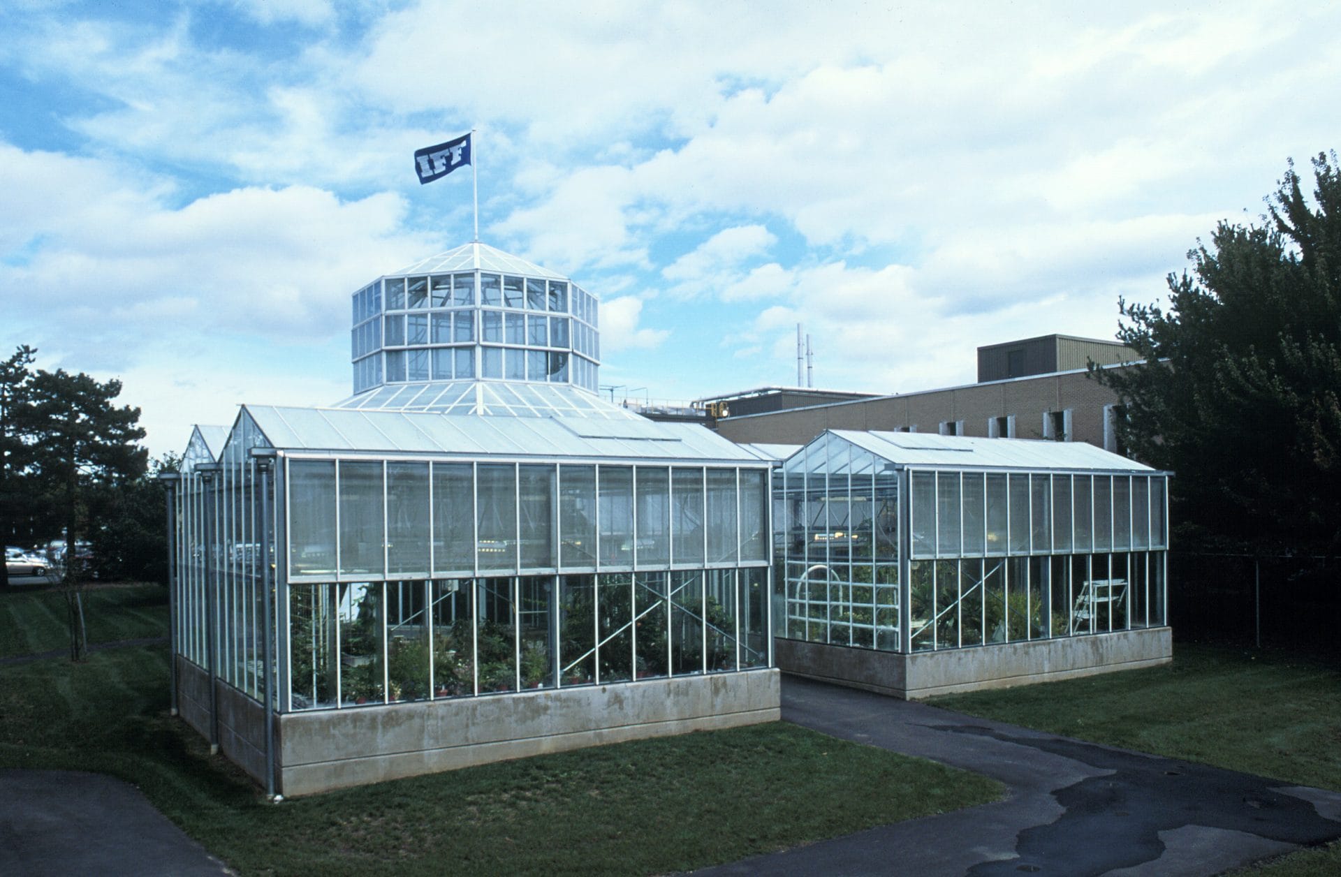 Hydroponic greenhouse