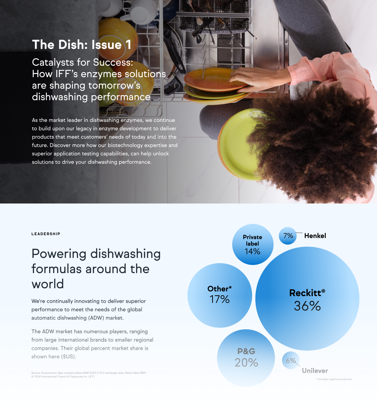 IFF-Dish-teaser-dec2024