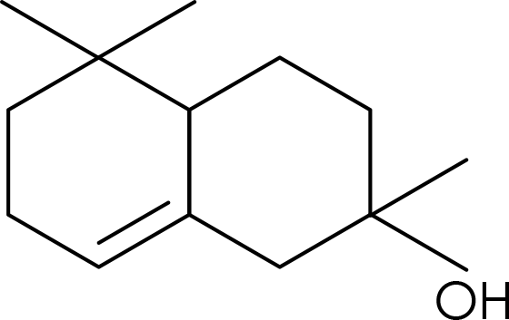 Ambrinol-95