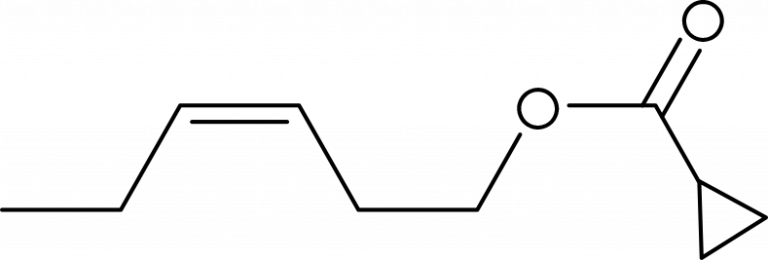 C10H16O2