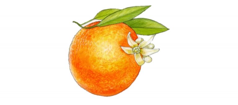 Orange oil