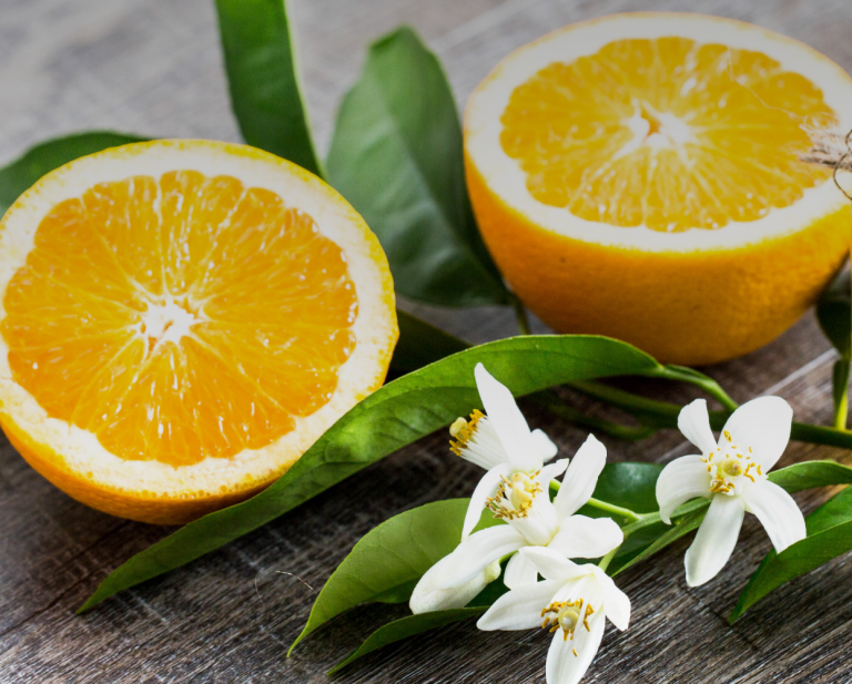 Scent for Dish_iStock-1145048787