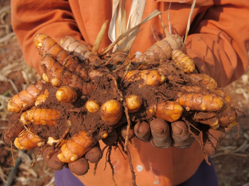 Supporting Farmers in our Supply Chain_P1144156