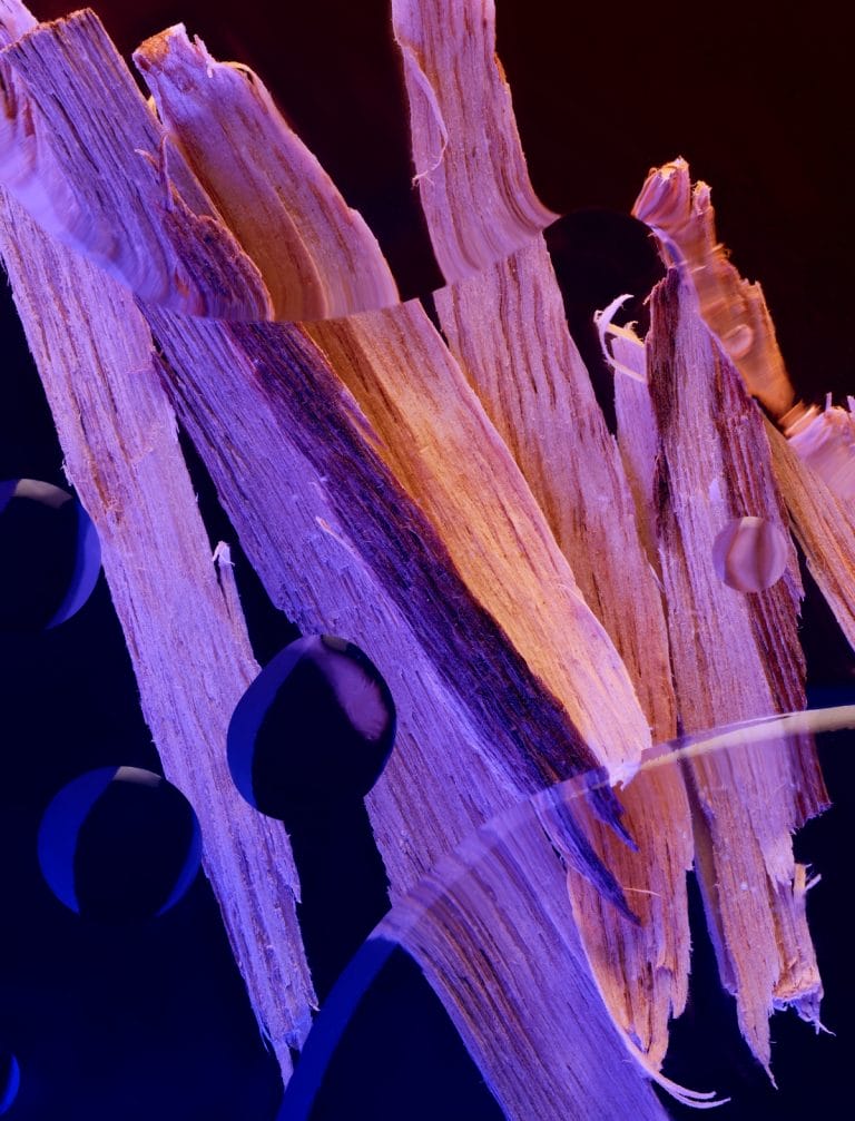 agarwood