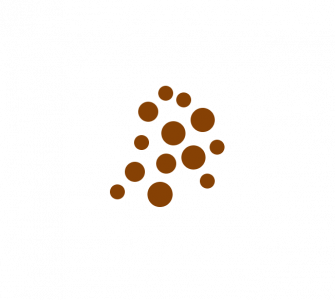 amber icon