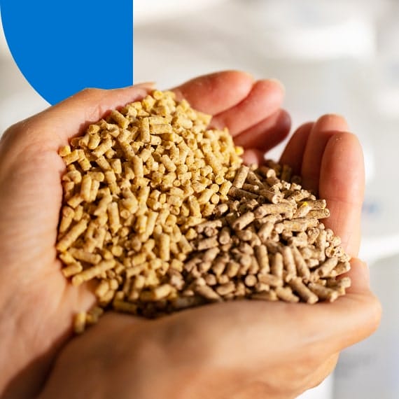 animal nutrition