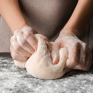 csm_GRINDAMYL_dough_828a8fa801_7b85342e9aad8ed3cc7fbb539d89ce8f.jpg