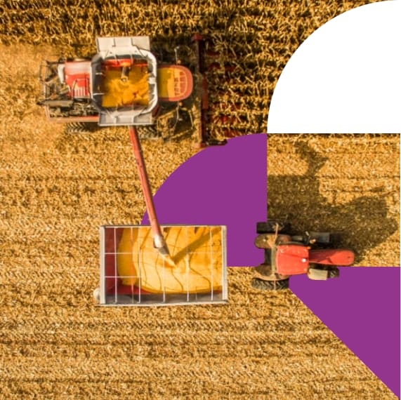 grain processing