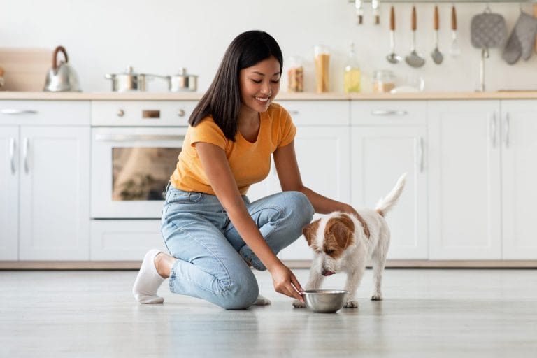 A young woman feeding her dog