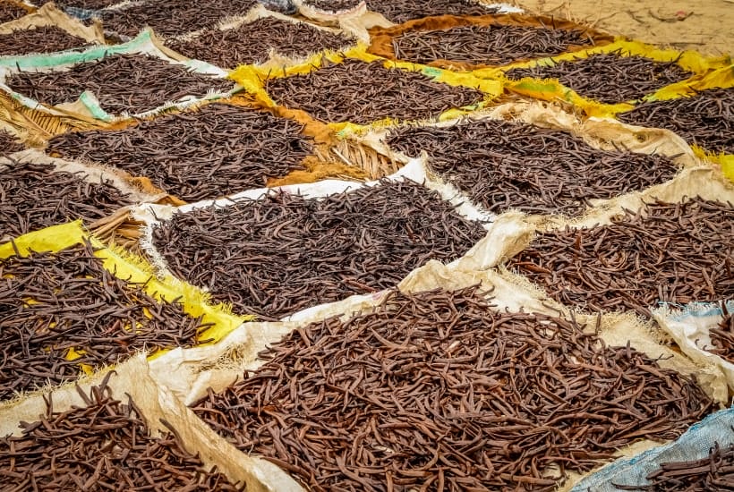 section 6 – Sustainable and Alternative Sourcing-min