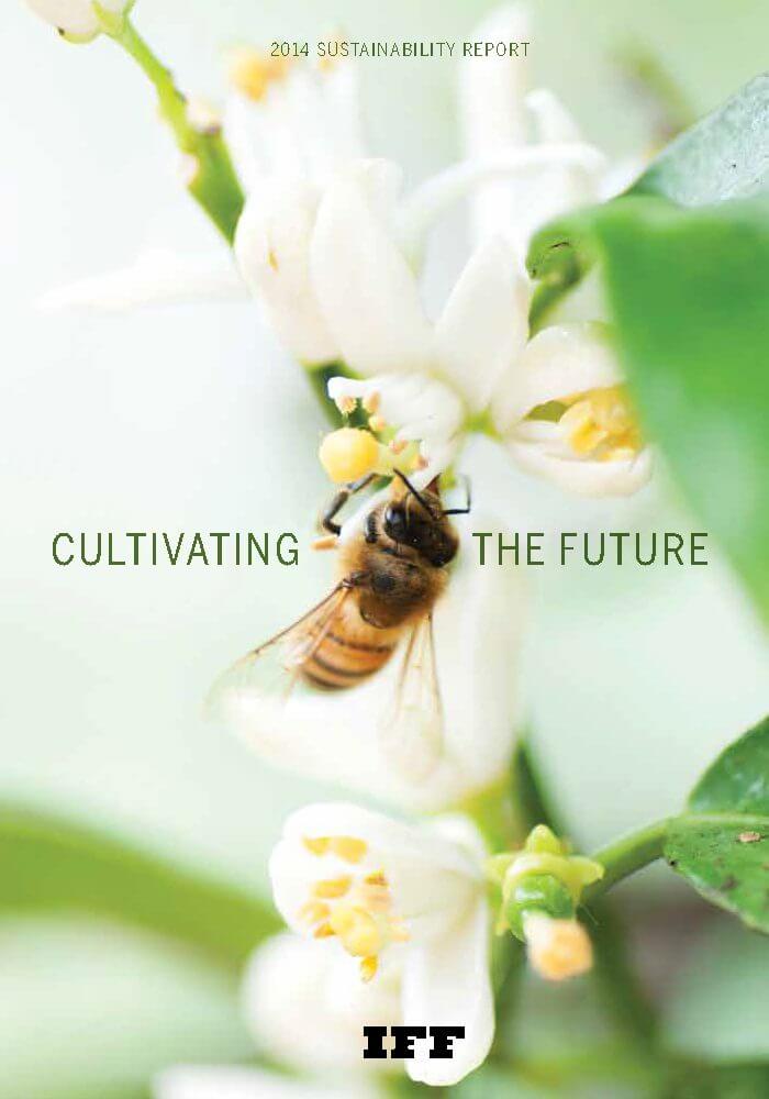 sustainability report 2014