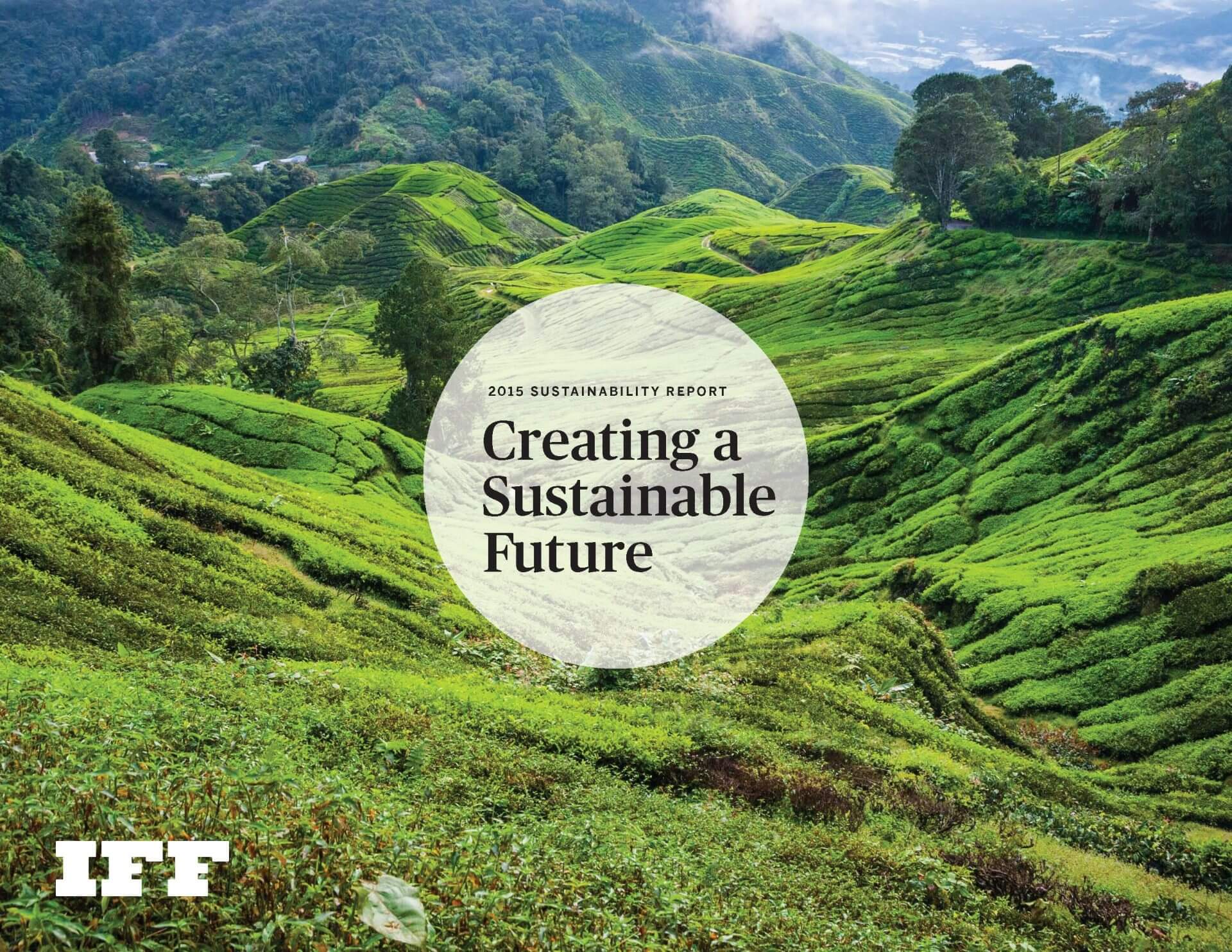 2015 sustainability report 2015