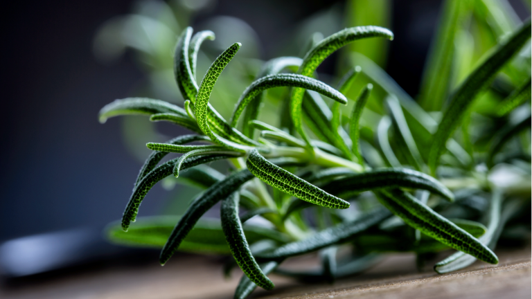 FoodProtection_AntioxidantsFlavorings