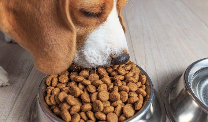 PET FOOD