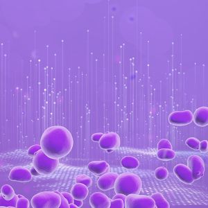 Leveduras IFF – Plataforma SYNERXIA