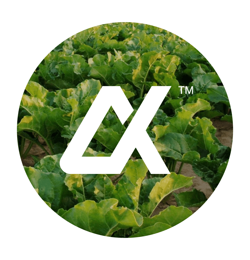 Vegetation close up in biotechnology agricultural setting with Alpha Bio logo mark overlay