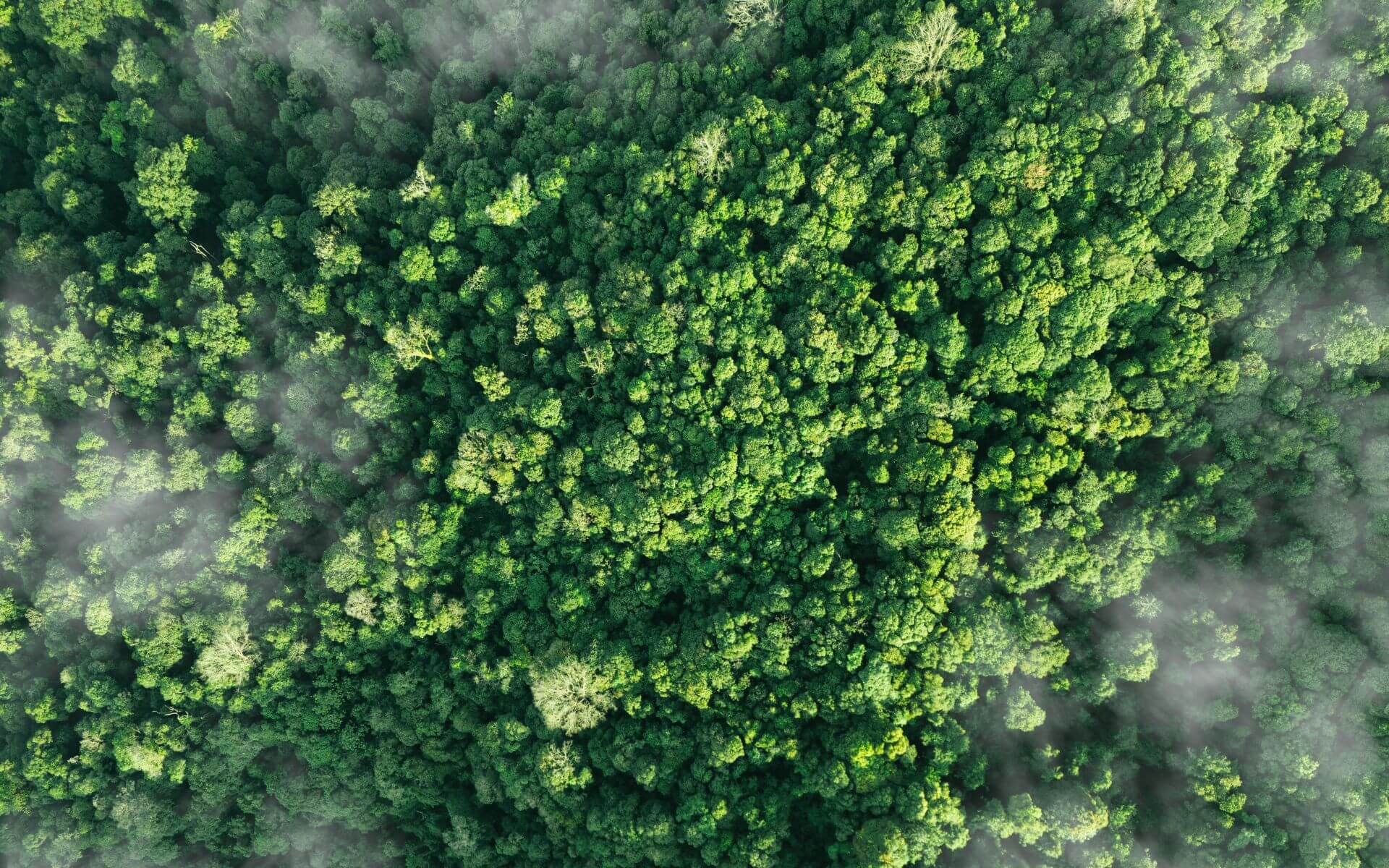 Driving Animal Nutrition and Health Sustainably