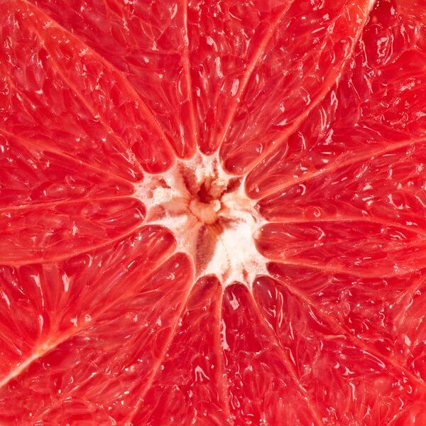 Taura Fruit Expertise